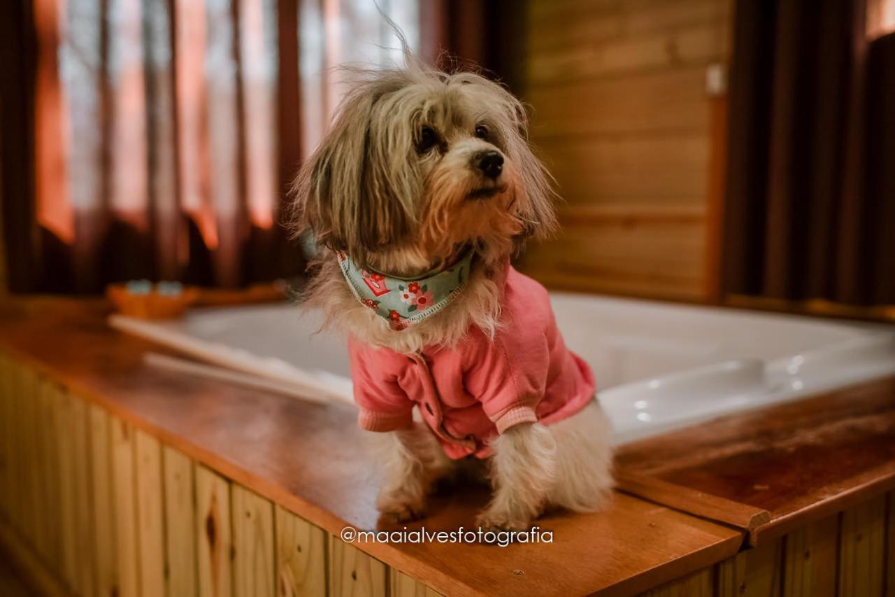 Willa Morada Da Pedra Praia Grande  Zewnętrze zdjęcie