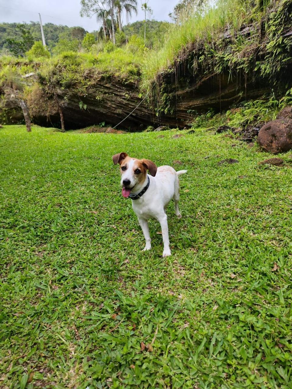 Willa Morada Da Pedra Praia Grande  Zewnętrze zdjęcie