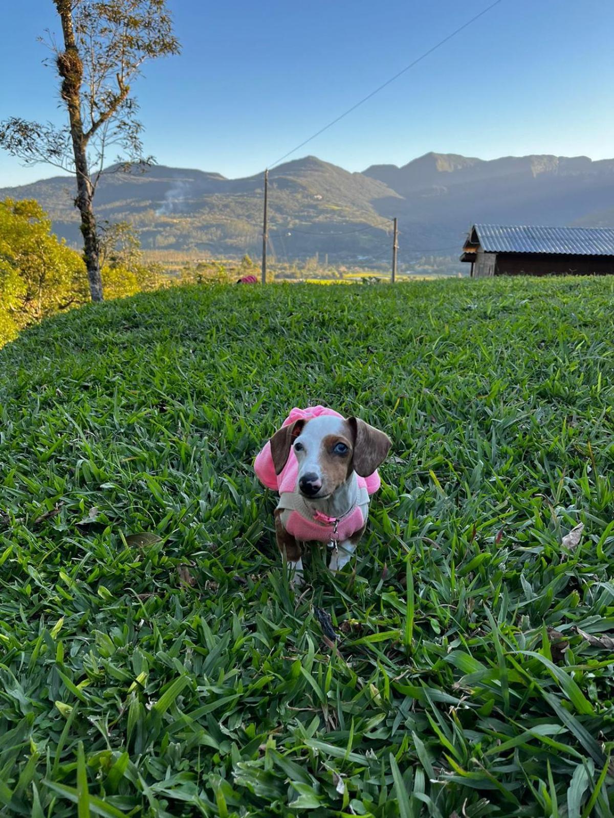 Willa Morada Da Pedra Praia Grande  Zewnętrze zdjęcie
